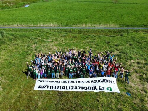 Action pour le préservation de la zone humide